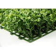 thumbnail image 3 of Boxwood Mat Artificial 10x10, 3 of 3