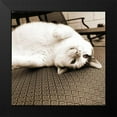 thumbnail image 2 of Dratfield, Jim 20x20 Black Modern Framed Museum Art Print Titled - Kitty II Crop, 2 of 5