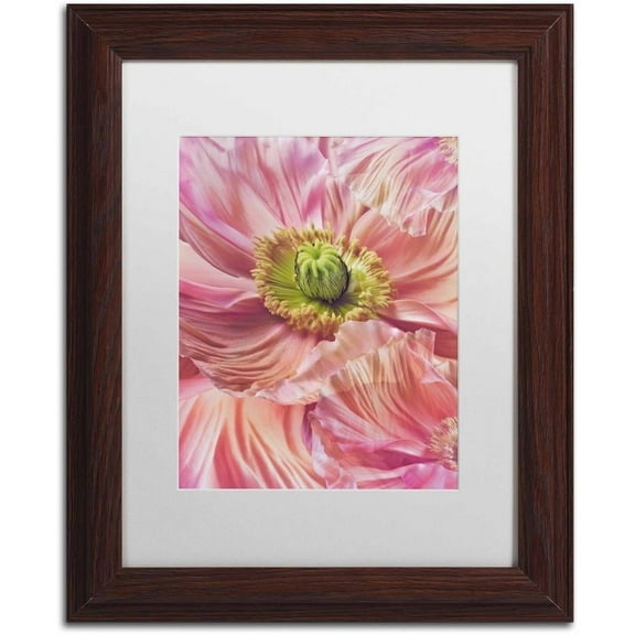 Trademark Fine Art 'Cerise Pink Poppy' Canvas Art by Cora Niele, White Matte, Wood Frame