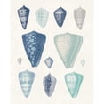 thumbnail image 3 of Wild Apple Portfolio 15x18 Black Modern Framed Museum Art Print Titled - Blue Shell Assortment II, 3 of 5