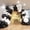 Black and White, variant on Sand White Gold Balloon Arch Kit, 140Pcs Beige Nude White Balloon with Metallic Gold Balloon Garland Kit for Boho Birthday Wedding Baby Shower Bridal Shower Engagement Prom Party Decorations