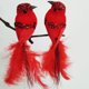 thumbnail image 3 of Pájaro artificial Pascua Halloween pequeño pájaro rojo blanco decoración de jardinería pájaro falso se puede arreglar, 3 of 6