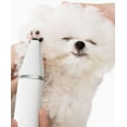 Wellichor Pet Grooming Kit Pro, Wellichlor Electric Dog Trimmer, 4 in