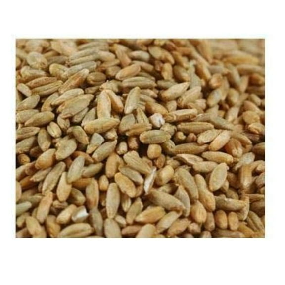 Grains Rye Berries - Single Bulk Item - 25LB
