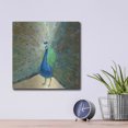 thumbnail image 4 of Luxe Metal Art 'Blue Peacock' by Danhui Nai, Metal Wall Art, 12"x12", 4 of 7