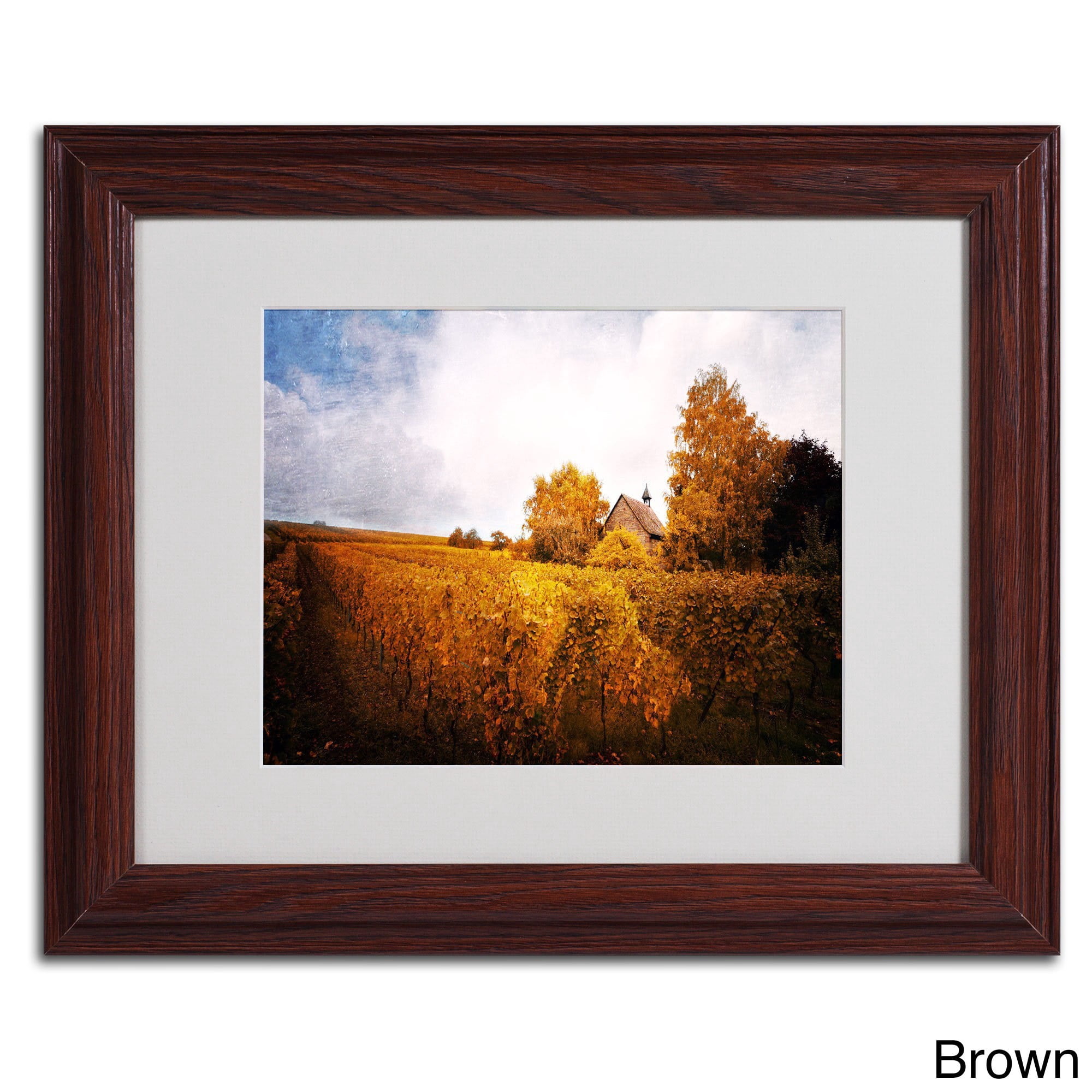 Trademark Fine Art "Light in Vineyards" Canvas Art by Philippe Sainte-Laudy, Black Frame