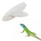 thumbnail image 3 of Birds   Parrot Cuttlebone Super Large Gloria Juguete para masticar mascotas, 3 of 9