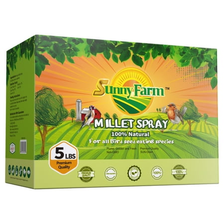 SunnyFarm 5lb Sun-Dried Spray Millet, Non-GMO Healthy Bird Treat for Parakeets, Cockatiel, Finches, Parrots, Hamster