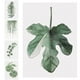 thumbnail image 5 of Sin marco, plantas verdes simples, hojas, pintura al óleo decorativa, imagen, dibujo, póster, decoración de la pared de la habitación Advancent JJ16766-17, 5 of 6