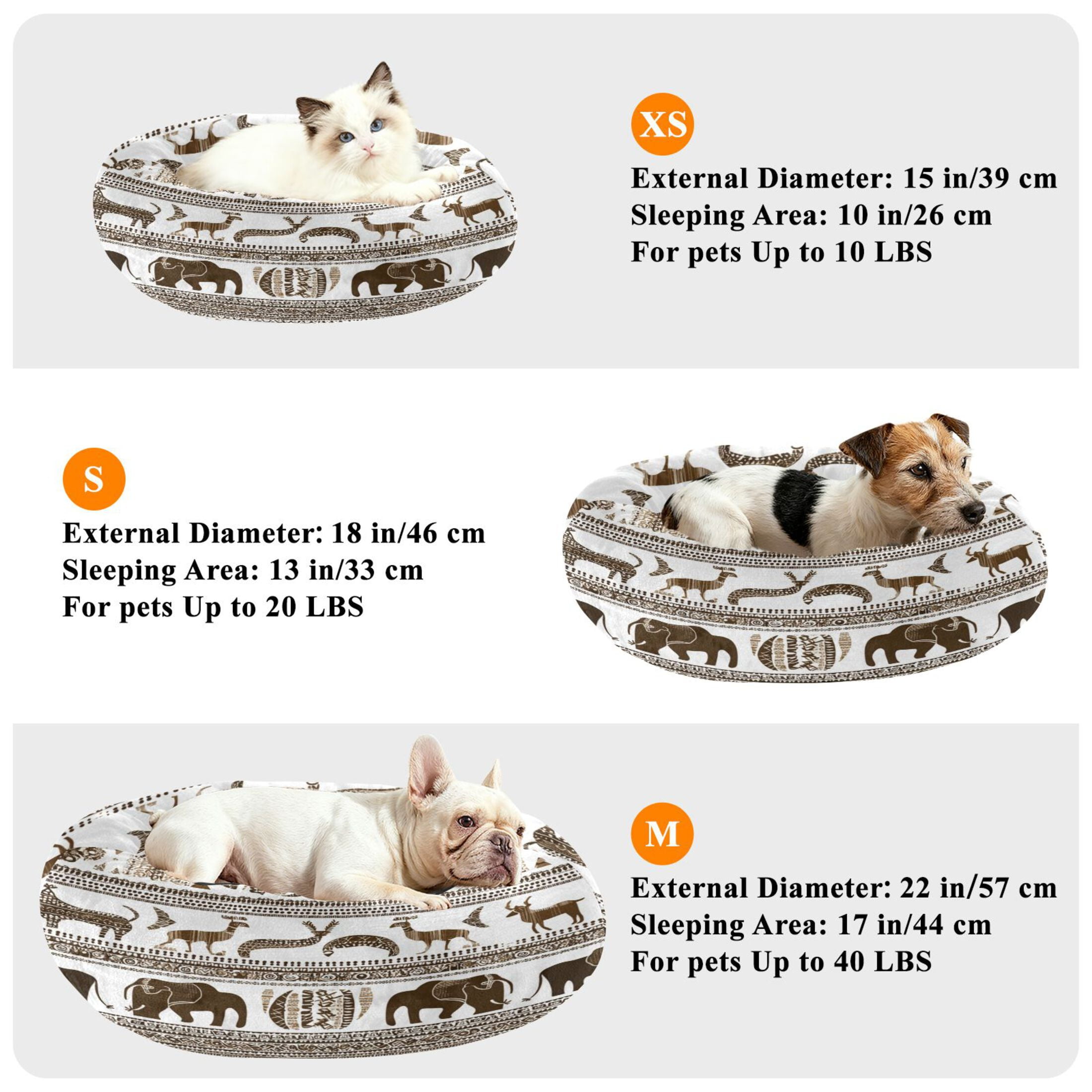 Iauyy Pet Couch Donut Cat Bed for Indoor Cats/Small Dogs Washable & Machine with Non-slip Bottom Calming Cat Furniture, Newt Art Style (M)