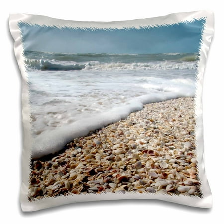 3dRose Seashells, Sanibel Island, Gulf Coast, Florida - US10 DFR0166 - David R. Frazier - Pillow Case, 16 by