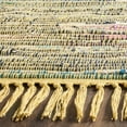 thumbnail image 4 of SAFAVIEH Rag Robynne Striped Cotton Area Rug, Yellow/Multi, 8' x 10', 4 of 12