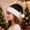 Black, variant on Plush Santa Hat with White Faux Fur Trim, Classic Christmas Party Costume Accessory for Adults Holiday Decorations One Size