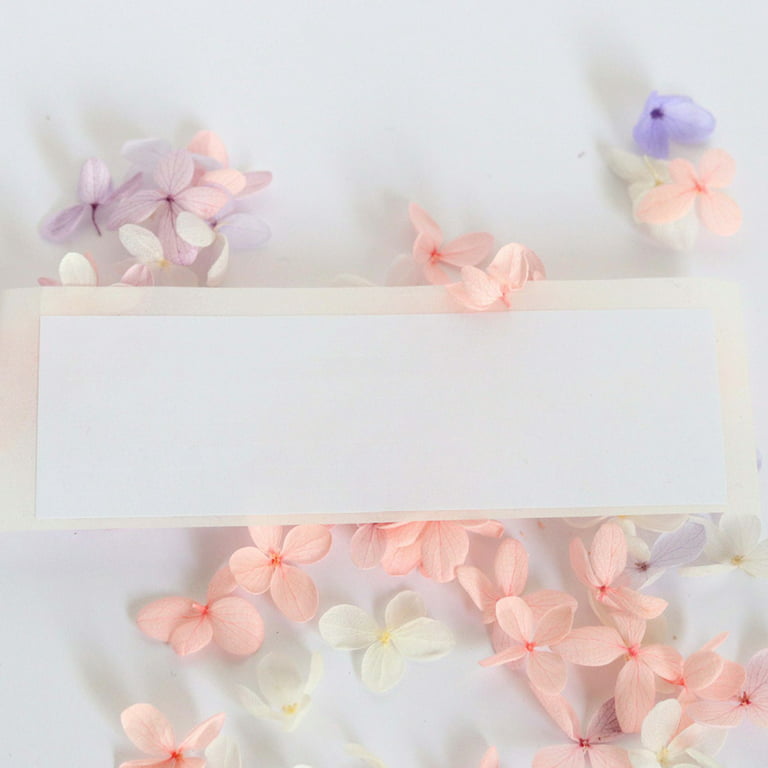50pcs Wedding Kraft Paper Cones White Hollow Butterfly Wedding DIY