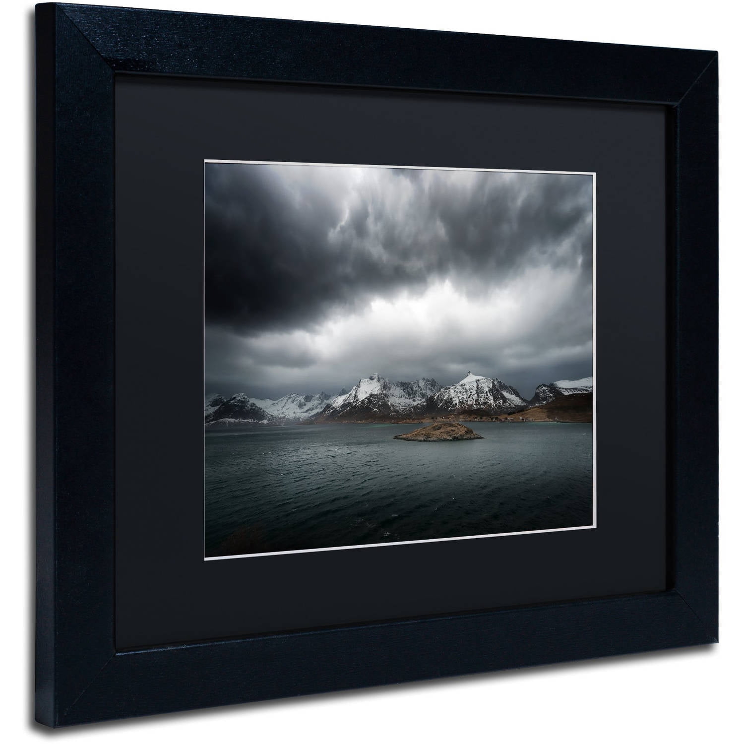 Trademark Fine Art "Grey" Canvas Art by Philippe Sainte-Laudy, Black Matte, Black Frame