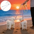 thumbnail image 1 of Double Dog Leash With Foam Handle Gradient Nylon Rope For Two Dogs Double Hook Walking Lead For Small To Medium Dogs, 1 of 6