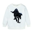 thumbnail image 3 of HCYSFG Boys Dinosaur Hoodies Long Sleeve Hooded Kangaroo Pocket Relaxed Fit Drawstring Ribbed Pullovers Animal Lover Sweatshirts, 3 of 3