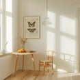 thumbnail image 4 of Butterflies VI - Drawing Butterfly Vintage Nature Botanical Insect Illustration Unframed Wall Art Print 24 x 32 inches, 4 of 16