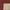 Red, variant on Mainstays Farmhouse Faux Sisal Gray Border Indoor Area Rug Set, 3 Piece