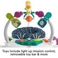 thumbnail image 4 of Fisher-Price Baby Bouncer Activity Center Jumperoo SpaceSaver with Lights & Sounds, Astro Kitty, 4 of 7
