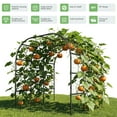 thumbnail image 4 of MOPHOTO Tall Garden Trellis Cucumber Trellis for Climbing Plants,88in Tall Metal Plant Support Trellis for Climbing Vine Vegetable/Fruit/Flower Outdoor Yard Lawn Garden Tunnel Trellis, 4 of 10