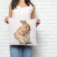 thumbnail image 3 of Throw Pillow Covers 18x18 Inch, Funny Bunny Decorative Pillow Cases for Couch Sofa Bed, Cute Art Fun Lovely Animals on Toilets Cotton Linen Square Home Decor Pillowcases with Hidden Zipper, 3 of 7