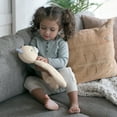 thumbnail image 3 of Ingenuity Premium Soft Plush Soothing Bean Bag Lovey - Nate the Teddy Bear, Ages Newborn +, 3 of 6