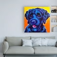 thumbnail image 3 of Trademark Fine Art 'Portuguese Water Dog Banks' Canvas Art by DawgArt, 3 of 3