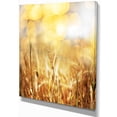 thumbnail image 2 of Brown Wheat Plants in Field - Floral Canvas Art Print, 2 of 3