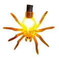 thumbnail image 2 of Multicolor Spider Lights - 10 Lights, 2 of 4