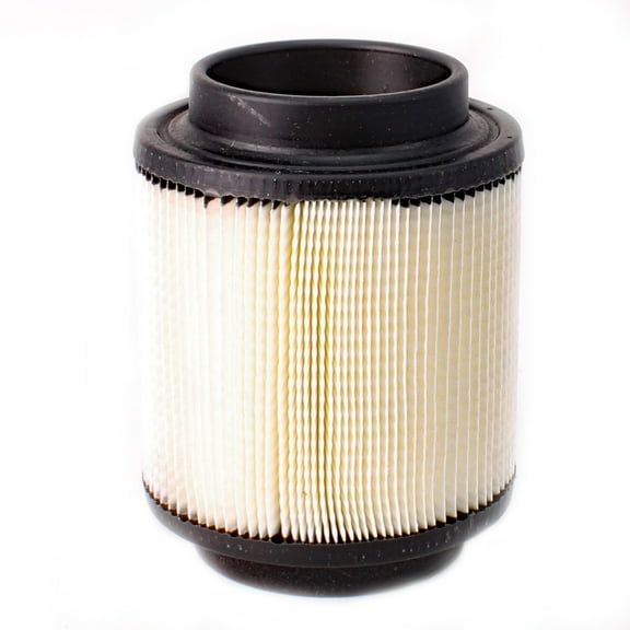 Polaris New OEM Air Filter Element Cartridge 1262218 Razor RZR 170
