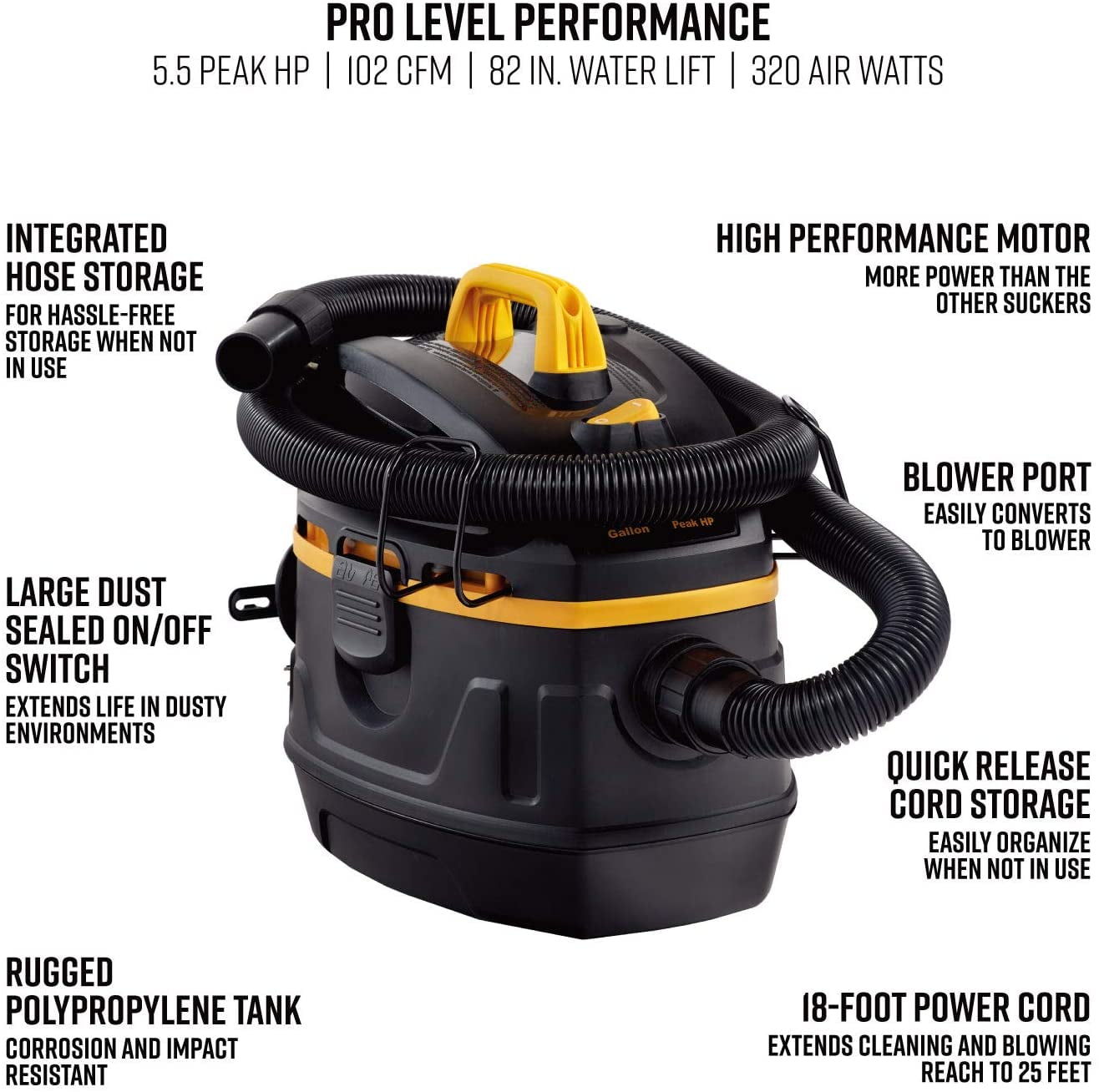 Professional Wet/Dry Vac, 5 Gallon 
