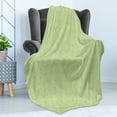 thumbnail image 4 of Green and White Soft Flannel Fleece Throw Blanket, Abstract Leafage Modern Art Style Ornament Fresh Nature, Cozy Plush for Indoor and Outdoor Use, 70" x 90", Pistachio Green White, by Ambesonne, 4 of 5