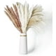 thumbnail image 1 of Hierba de pampa seca, 60 piezas de hierba de pampa natural con 3 colores Fokelyi WMYD-49, 1 of 7