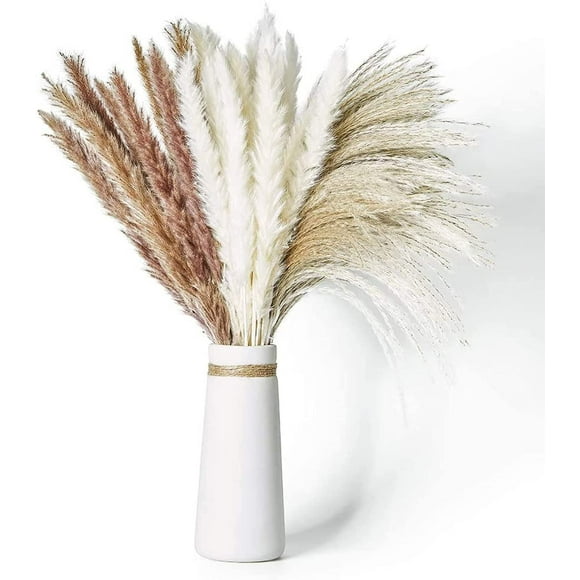 Dried Pampas Grass, 60 Pcs Natural Pampas Grass with 3 Colors