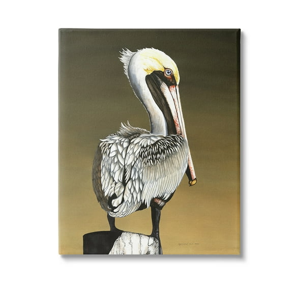 Stupell Industries Pelican with Intense Gaze Animals & Insects Painting Gallery Wrapped Canvas Art Print Wall Art, 16 x 20