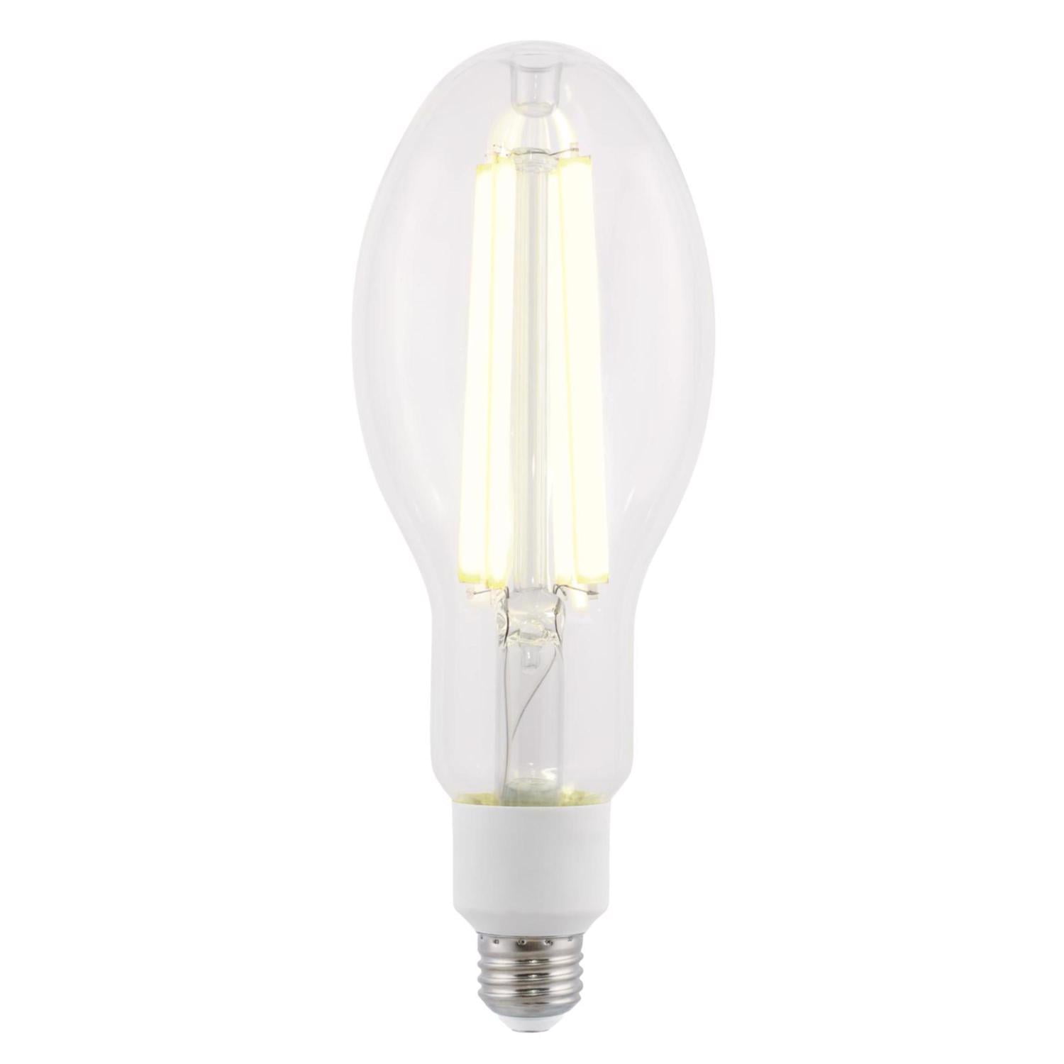 Westinghouse Lighting 5253000 32 Watt (300 Watt Incandescent Equivalent) ED28 Daylight High Lumen Filament LED Light Bulb, Medium Base