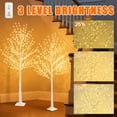 thumbnail image 3 of Ensemble d'Arbres de Bouleau Éclairés Arbres de Noël Blancs Décorations Intérieures Extérieures 5 Pieds 6 Pieds Arbre Artificiel Pré-Éclairé avec Minuterie et Variateur de Lumière Arbre à Brindilles LED pour Décoration Maison Porche Chambre Mariage, 3 of 9