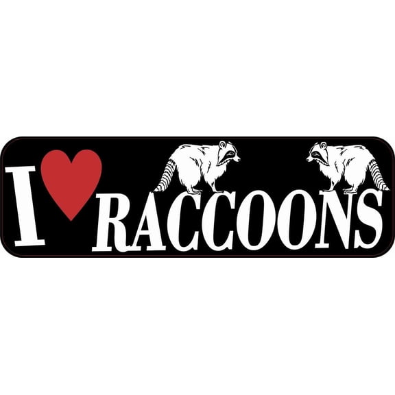 10in x 3in I Love Raccoons Bumper Sticker Vinyl Vehicle Pet Anim