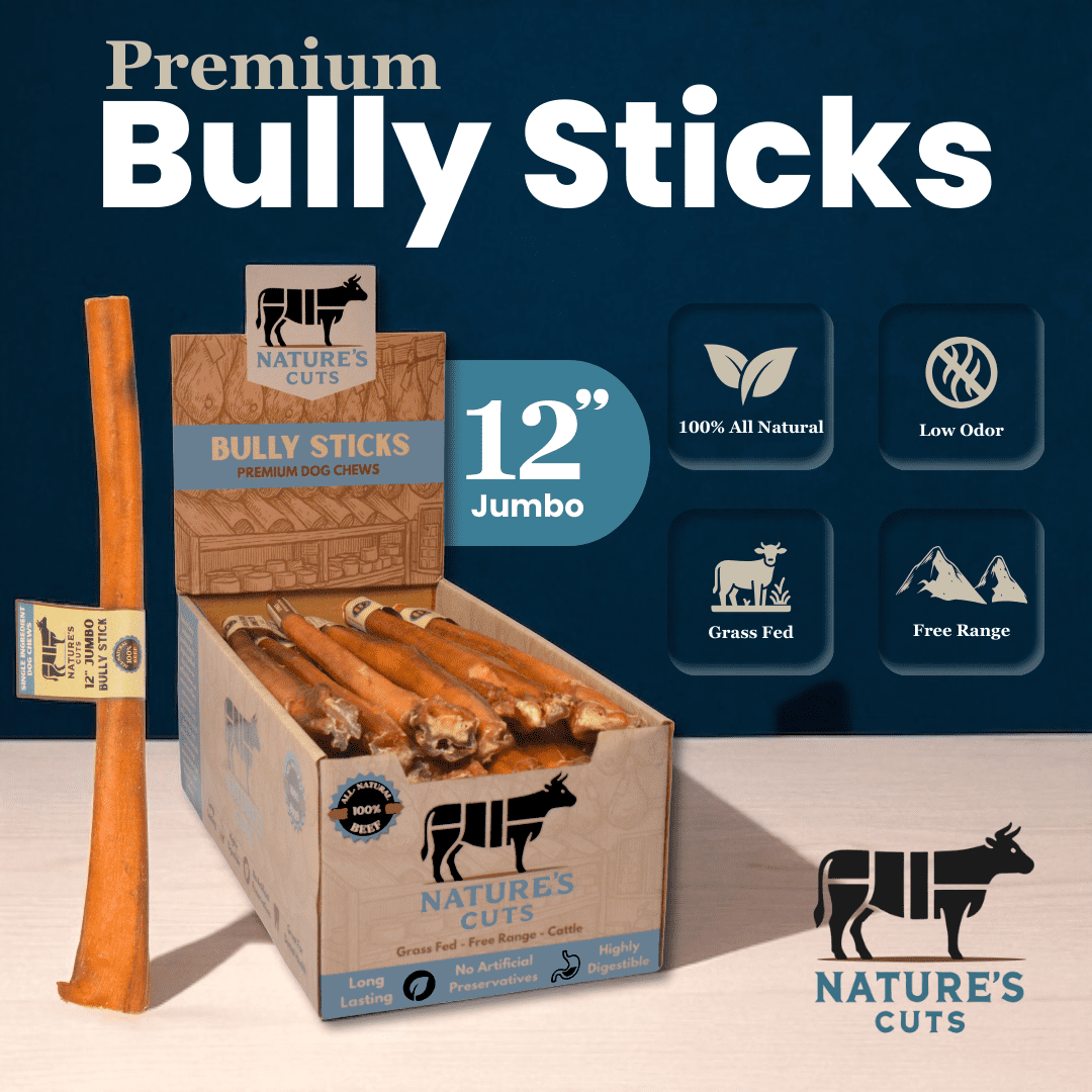 12" Jumbo Bully Sticks Display Box (30 ct) with Individual UPC Tags - 100% All Natural Beef