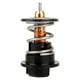 thumbnail image 1 of Termostato Q7 2007 al 2010 Audi V6 3.6L Keep On Green, 1 of 3