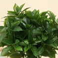 thumbnail image 6 of Cadorn Artificial Leaf Greenery Plants Decorations, Realistic Faux Foliage Potted Arrangements for Home Garden Indoor Outdoor Décor, 6 of 6