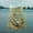 C, variant on Hanging Folding Wire Fish Net Fish Net Pocket Fishing Fishing Net Fishing Gear Installation Crab Pot Mandarin Fish Pot Ice Float Suit for Men