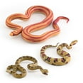 Fridja Realistic Fake Snakes Toy Rubber Snake Figure For Prank Props Fake Snake Scare Birds And