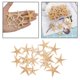 thumbnail image 5 of artesanías conchas marinas Decoración de acuario hecha a mano con conchas de estrellas de mar naturales 3-5cm 20 piezas Magideal artesanías conchas marinas, 5 of 7