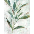 thumbnail image 2 of Harper, Ethan 25x32 White Modern Wood Framed Museum Art Print Titled - Tropical Foliage Study I, 2 of 4