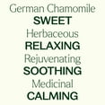 thumbnail image 4 of Plant Therapy German Chamomile Essential Oil 100% Pure, Undiluted, Natural Aromatherapy 10 mL (1/3 oz), 4 of 8