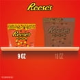 thumbnail image 6 of Reese's Pieces Peanut Butter in a Crunchy Shell Candy Bag, 9 oz, 6 of 8