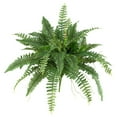 thumbnail image 3 of Nearly Natural 40" Boston Fern Artificial Plant (Set of 2), Green, 3 of 6