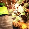 thumbnail image 4 of UPOUART 1Jgo Tapete Decorativo Para Terrarios De Reptiles Color Con Agarre Y Sin Polvo, 4 of 8